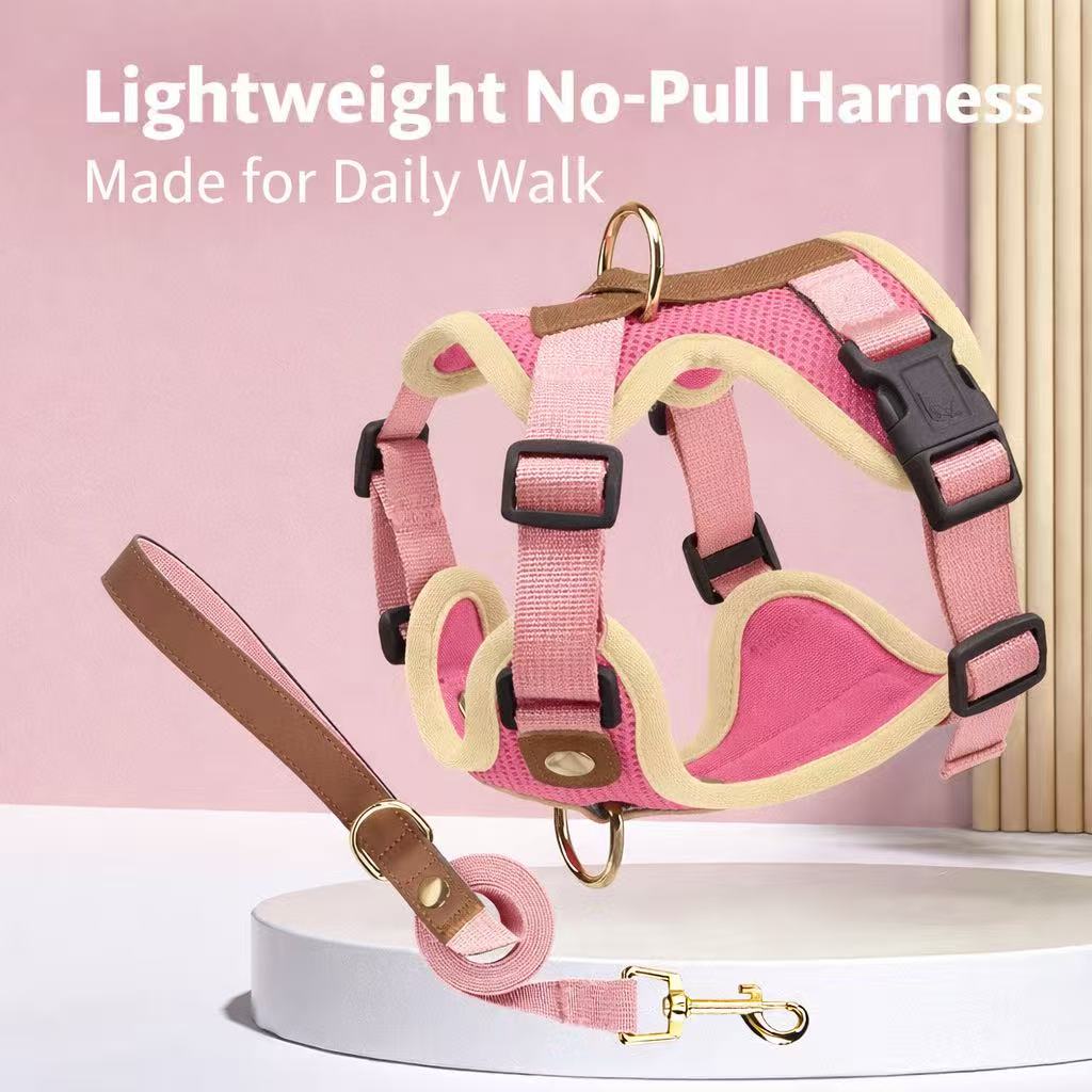 Small Dog & Cat Harness and Leash Set – Lightweight & Reflective