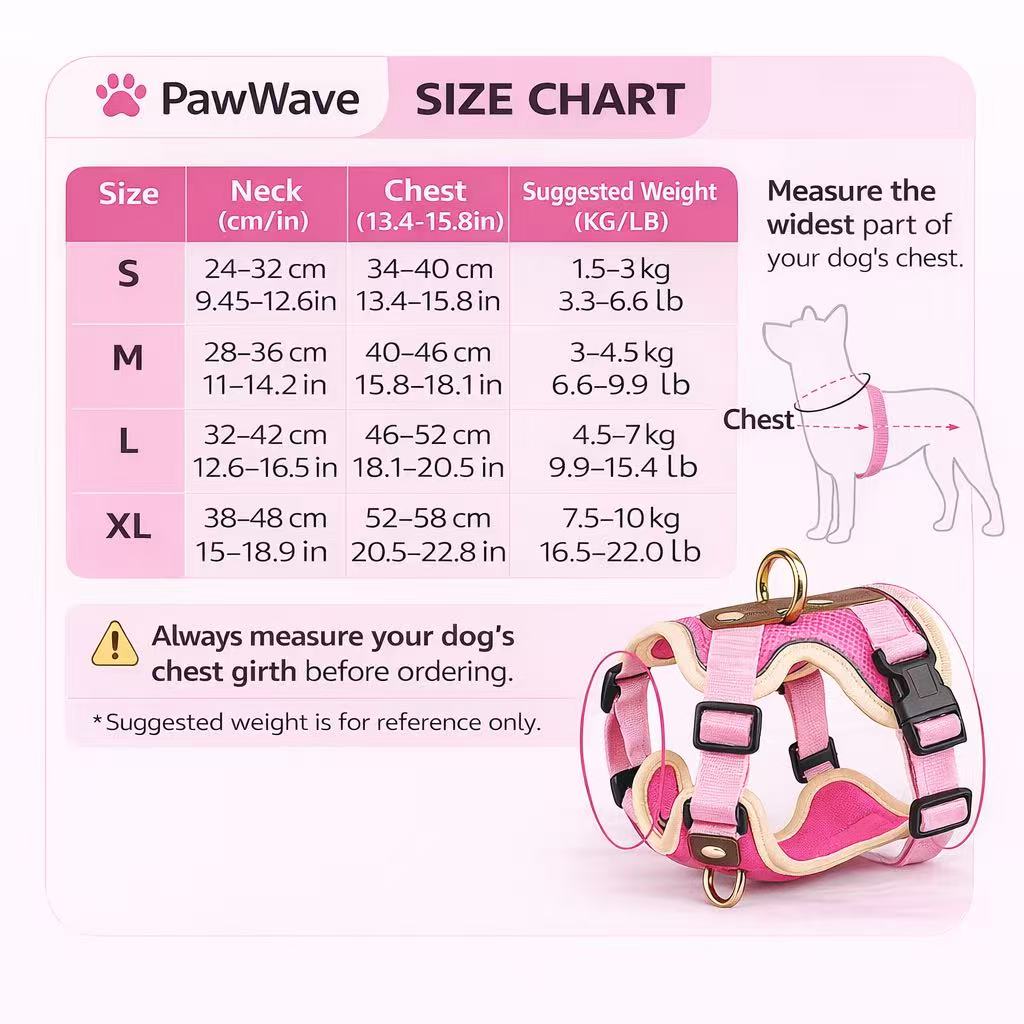 Small Dog & Cat Harness and Leash Set – Lightweight & Reflective