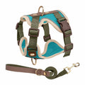 Small Dog & Cat Harness and Leash Set – Lightweight & Reflective
