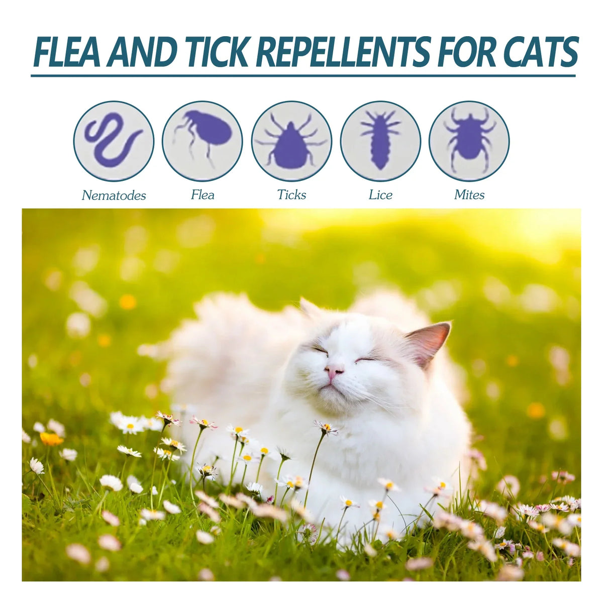 Pet Anti-flea Tick Drops for Cats and Dogs Natural Formula Skin Cleaning Fast-acting Protection Deworming for Pet Care
