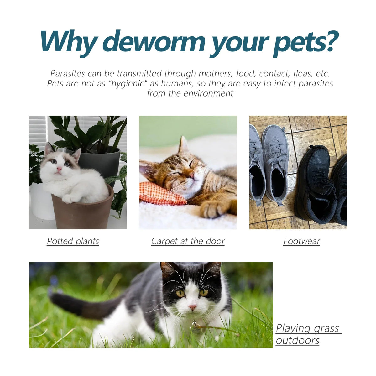 Pet Anti-flea Tick Drops for Cats and Dogs Natural Formula Skin Cleaning Fast-acting Protection Deworming for Pet Care