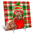 3dRose Festive Christmas Labradoodle Dog on Red and Green Holiday Plaid - Desk Clocks (dc_351760)