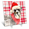 3dRose Festive Red and White Holiday Plaid and Schnauzer Christmas Dog - Desk Clocks (dc_351789)