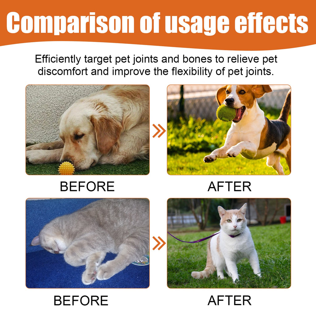 Pet Bee Venom Oil, Joint Care For Cats And Dogs Relieves Joint Pain For Pets Pet Care Water