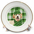 3dRose Christmas Golden Doodle on Festive Green Plaid for Holiday Dog Lovers - Plates (cp_351757)