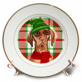 3dRose Funny Vizsla Christmas Dog on Bold Red and Green Holiday Plaid - Plates (cp_351797)