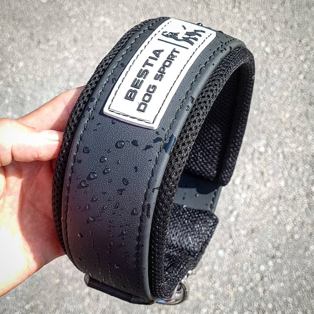 Bestia Dog Sport Collar