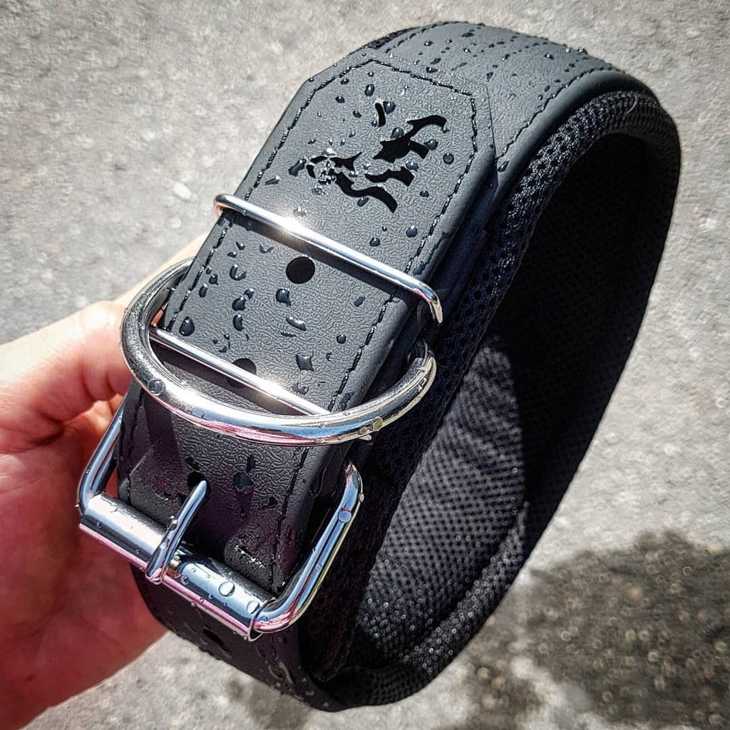Bestia Dog Sport Collar