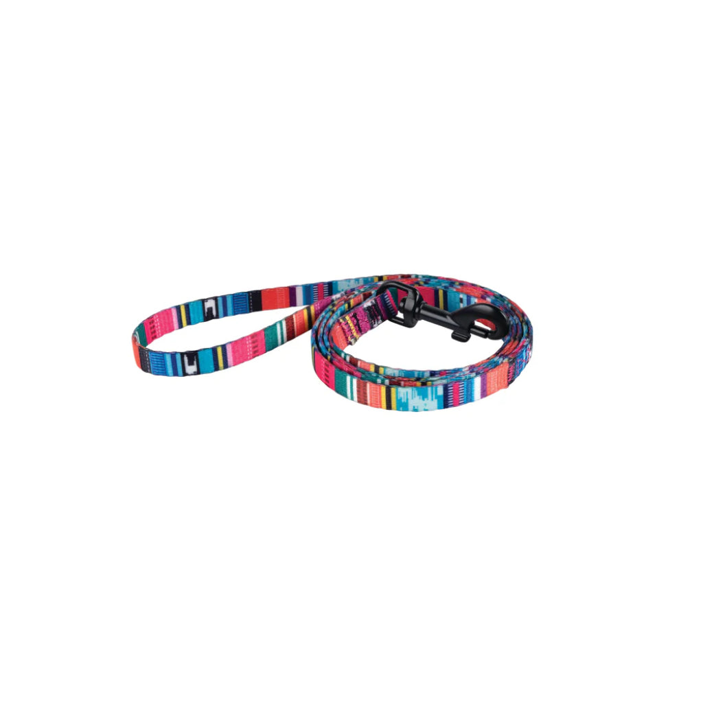 M-Pets Urban Style Cat Harness and Leash Set 120cm