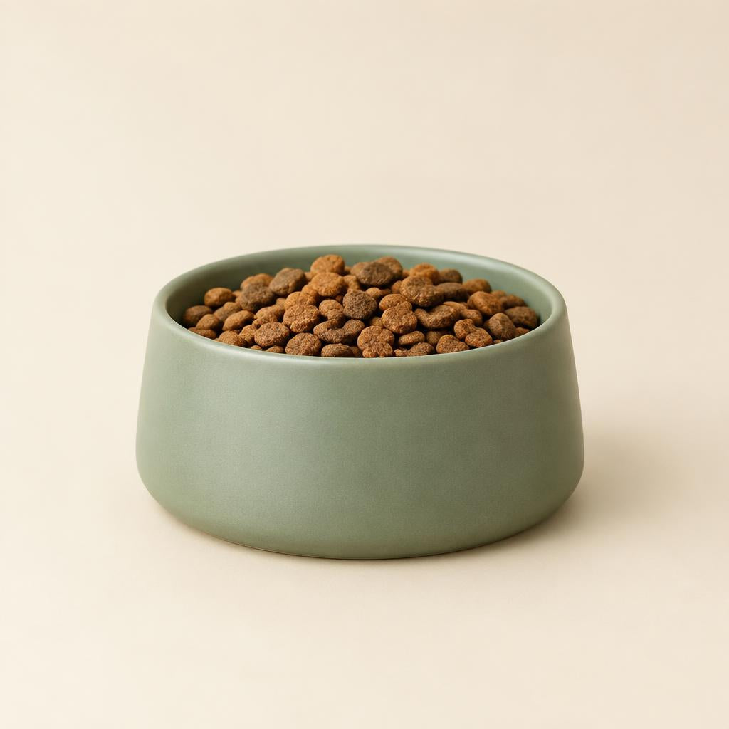 Sage green ceramic pet bowl