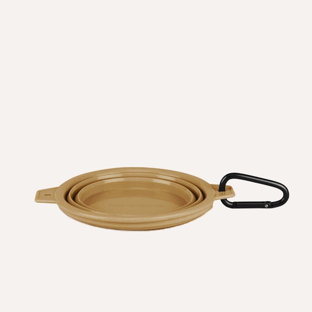 Tilley + Me Collapsible Travel Pet Bowl with Clip – Compact, Reusable and Easy to Clean