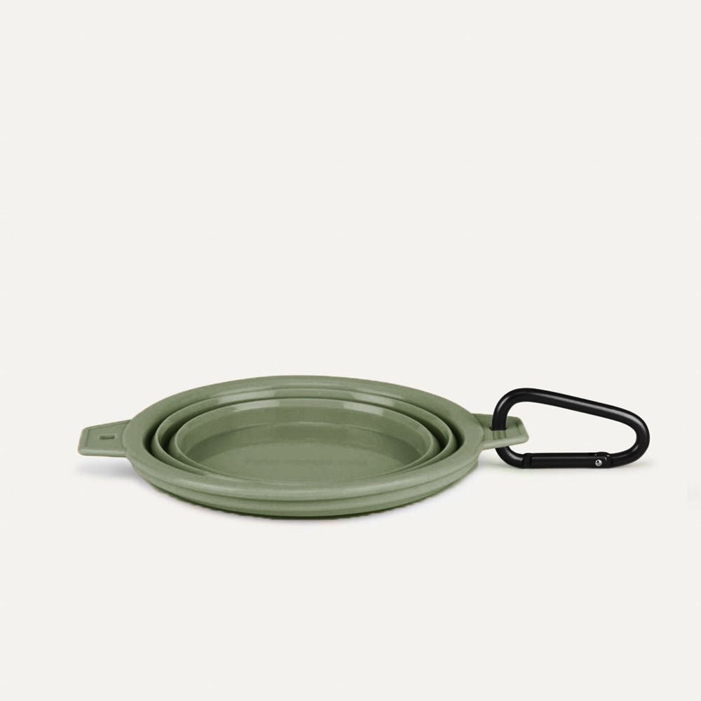 Tilley + Me Collapsible Travel Pet Bowl with Clip – Compact, Reusable and Easy to Clean